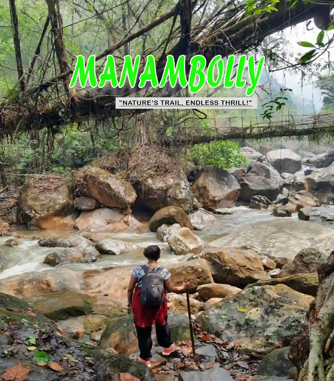 Manambolly Forest Trek