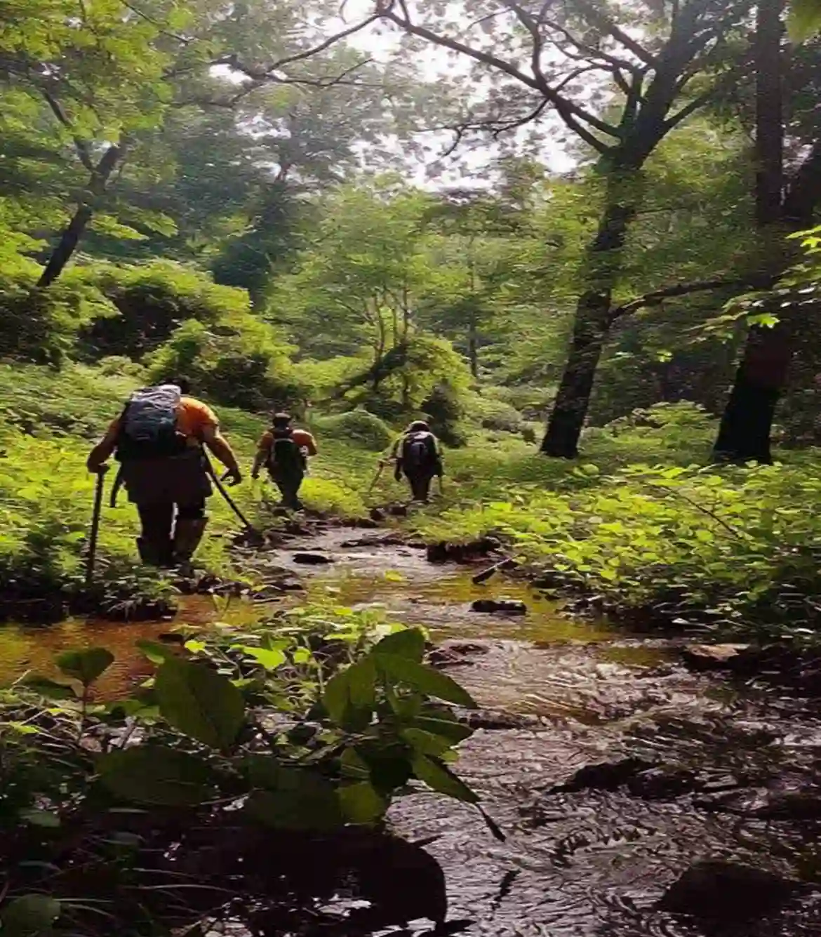 Manambolly Forest Trek