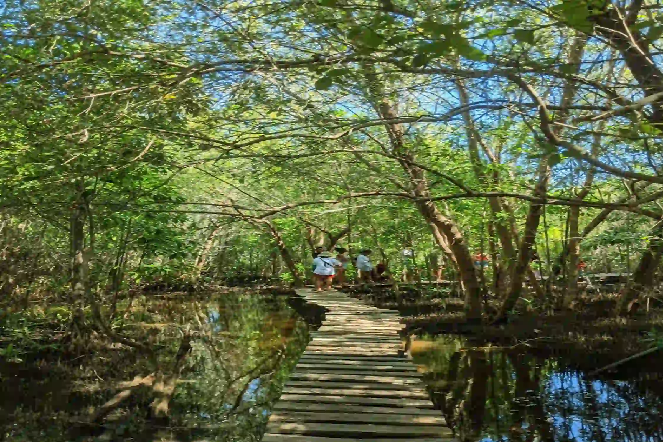 Manambolly Forest Trek