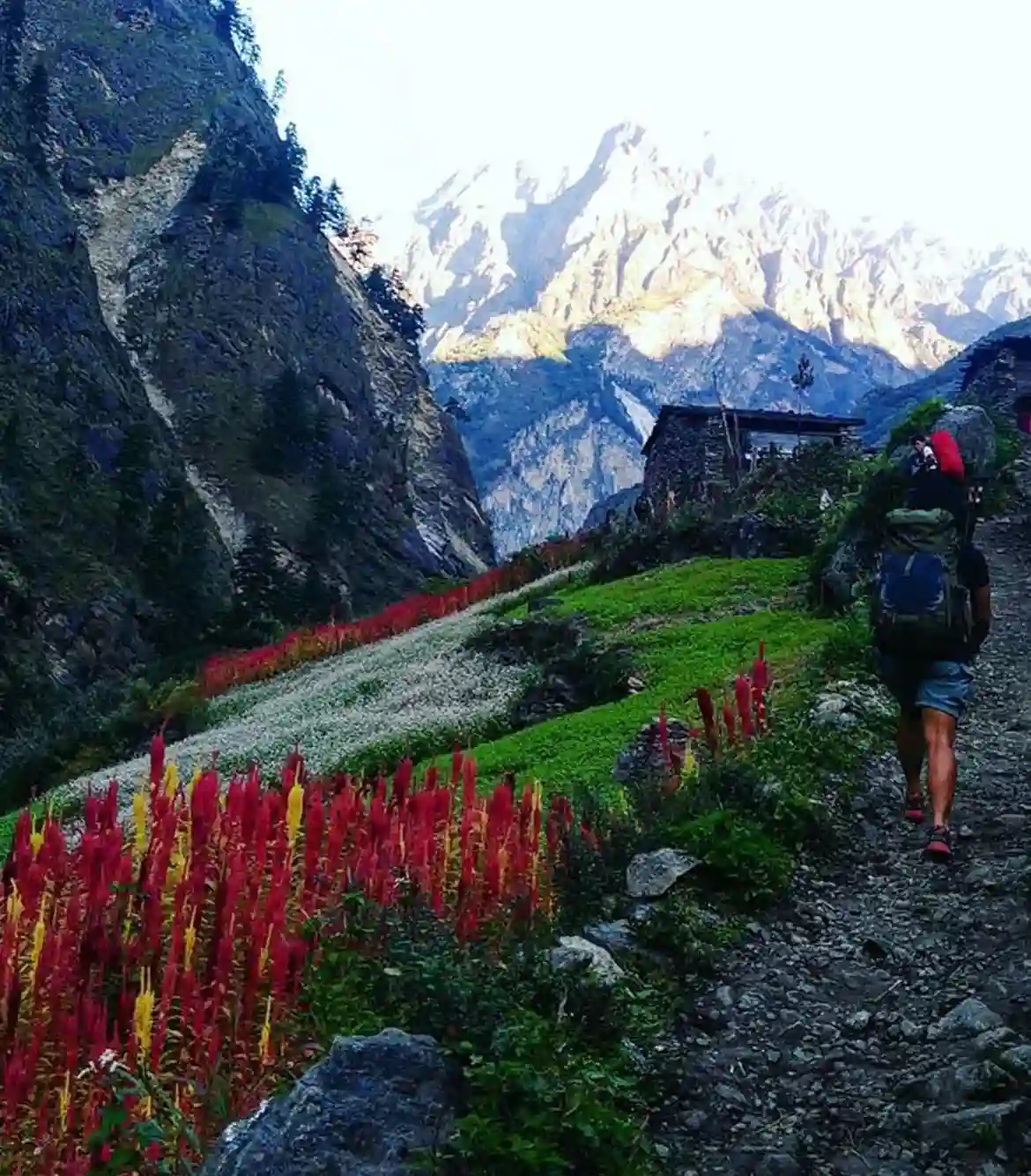 Manaslu Circuit and Tsum Valley Trek