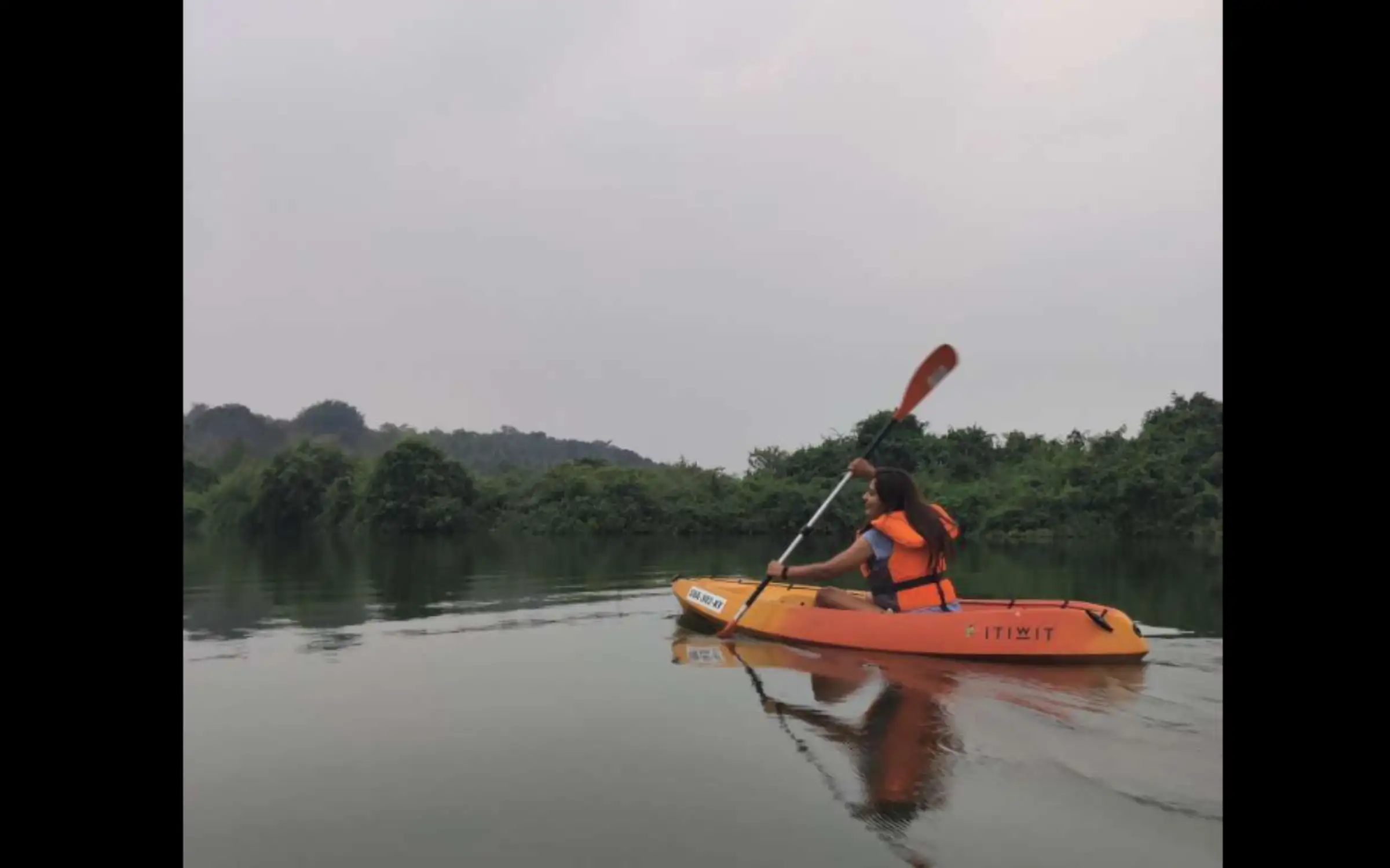 Mangrove Kayaking in Chapora River