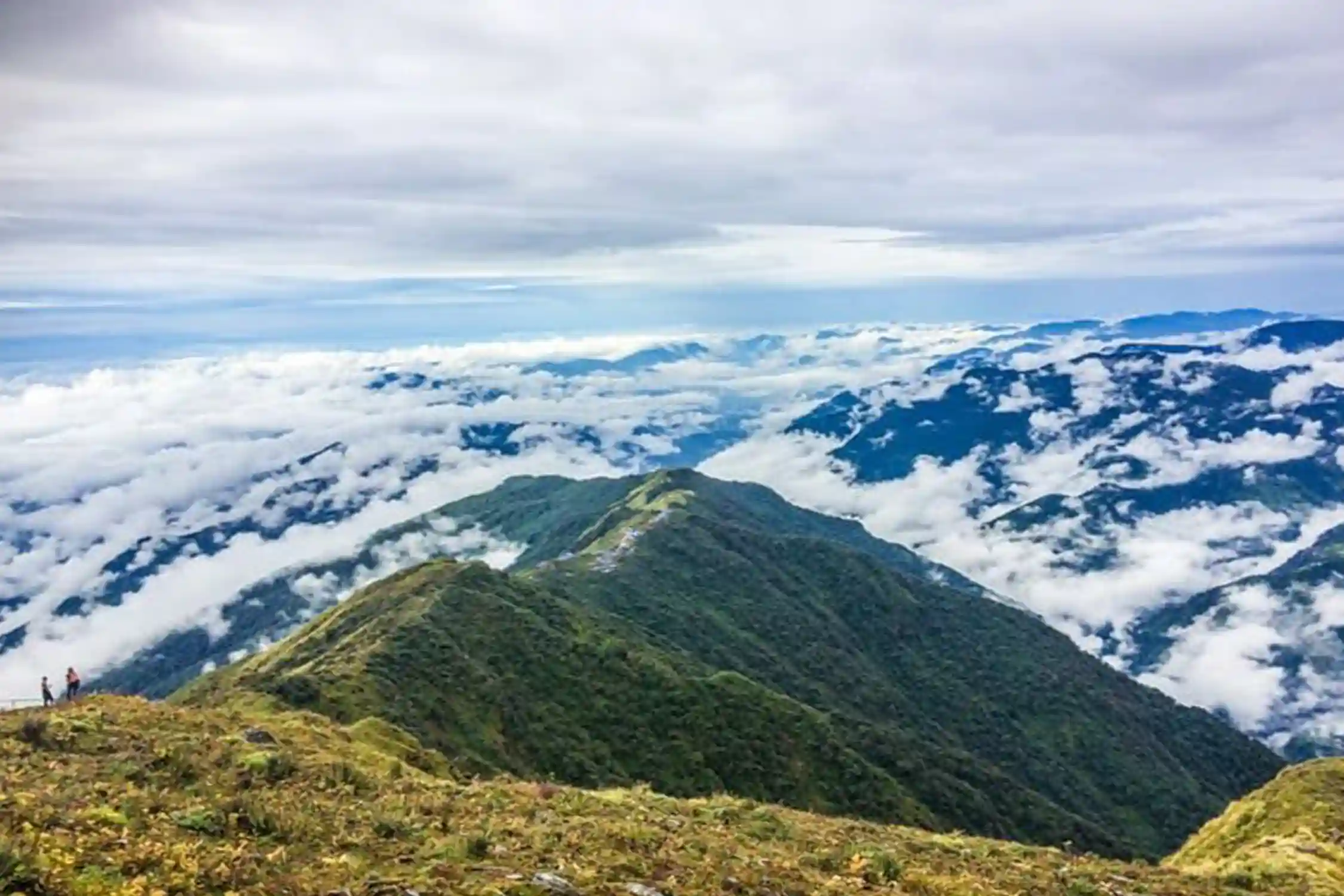 Mardi Himal Heli Tour