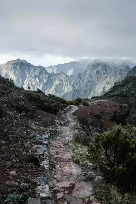 Mcleodganj Triund Trek Package from Delhi