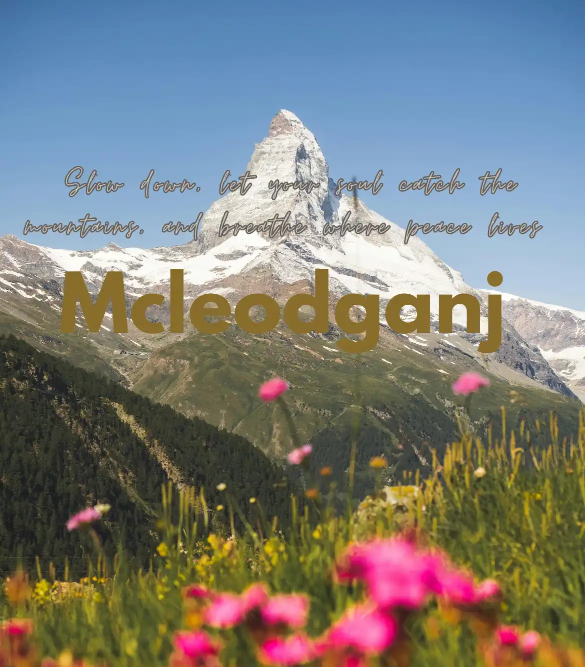 Mcleodganj Triund Trek Package from Delhi