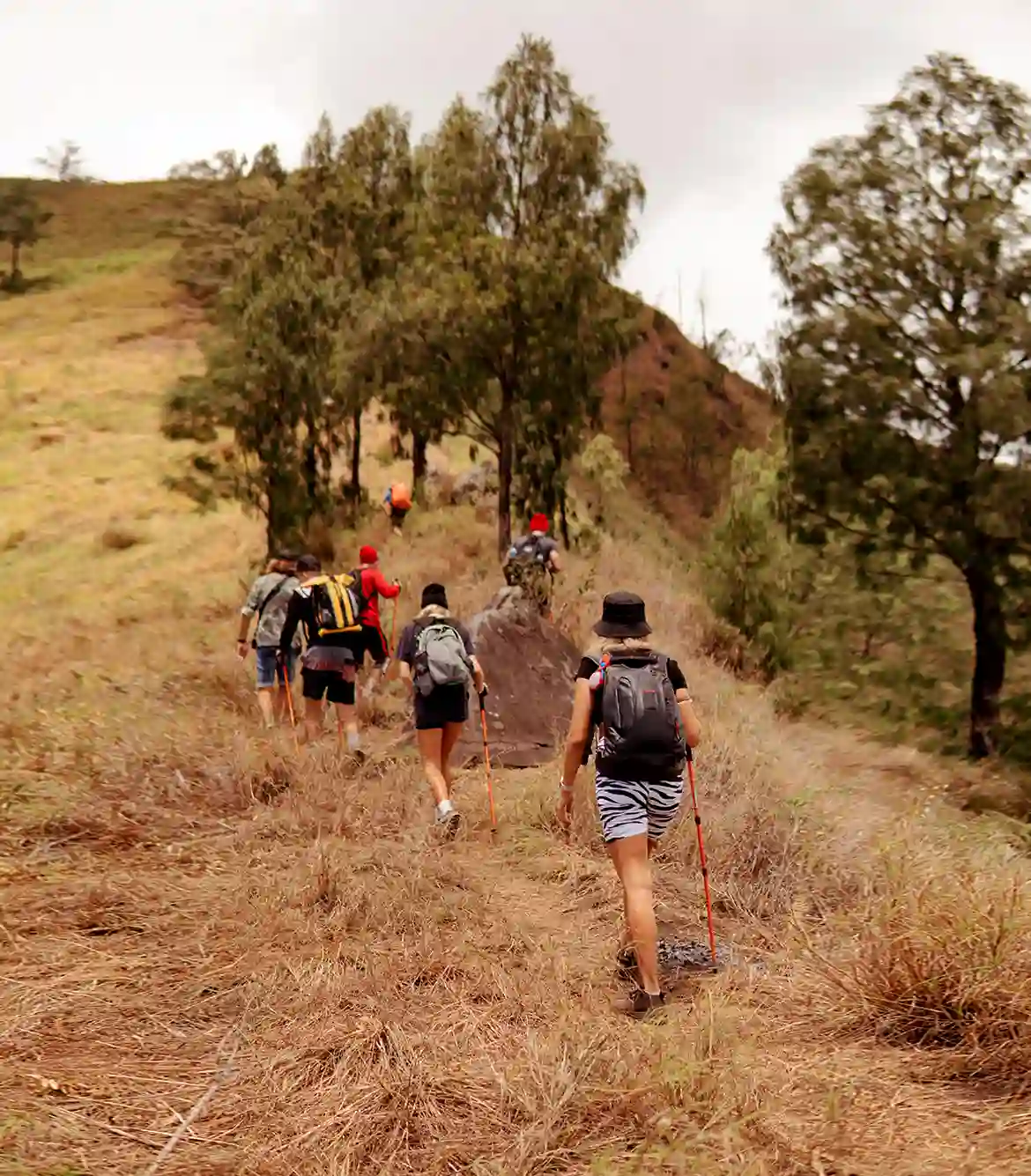 Minchukallu Betta Day Trek