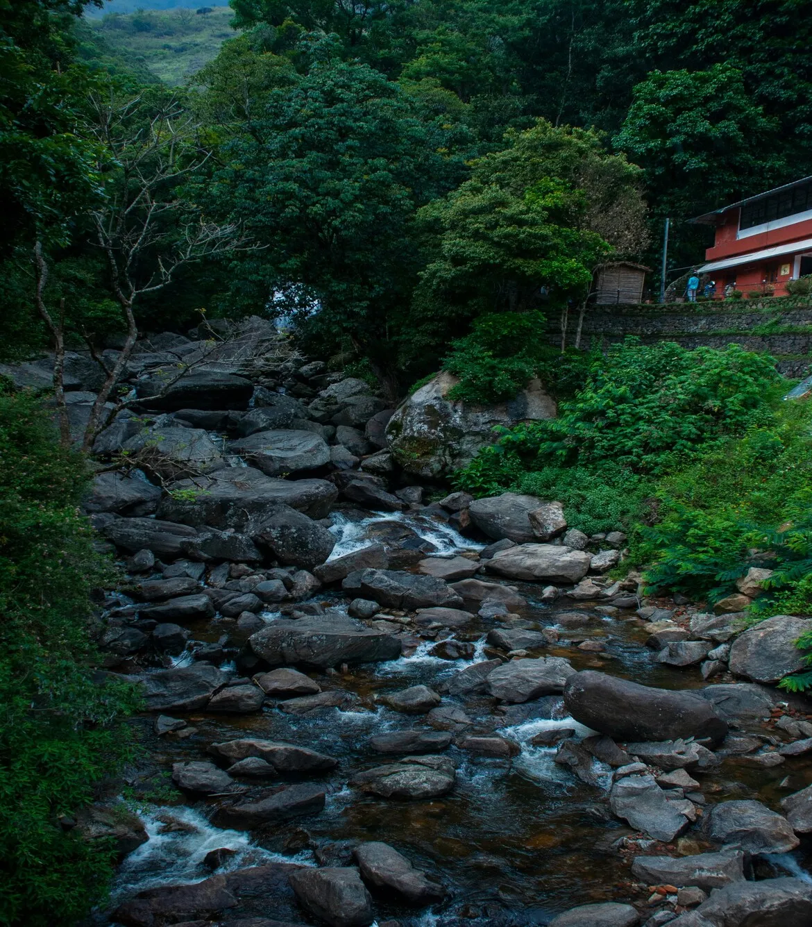 Munnar Trip from Bangalore