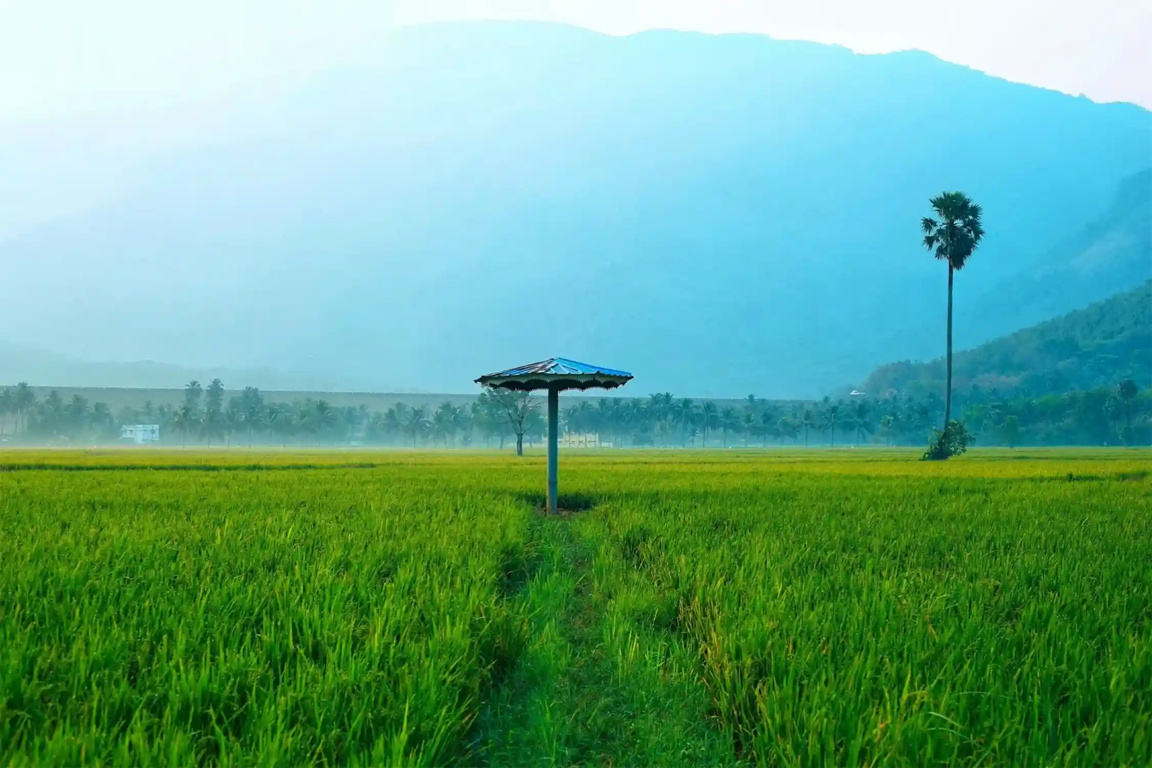 One Day Palakkad Sightseeing Trip