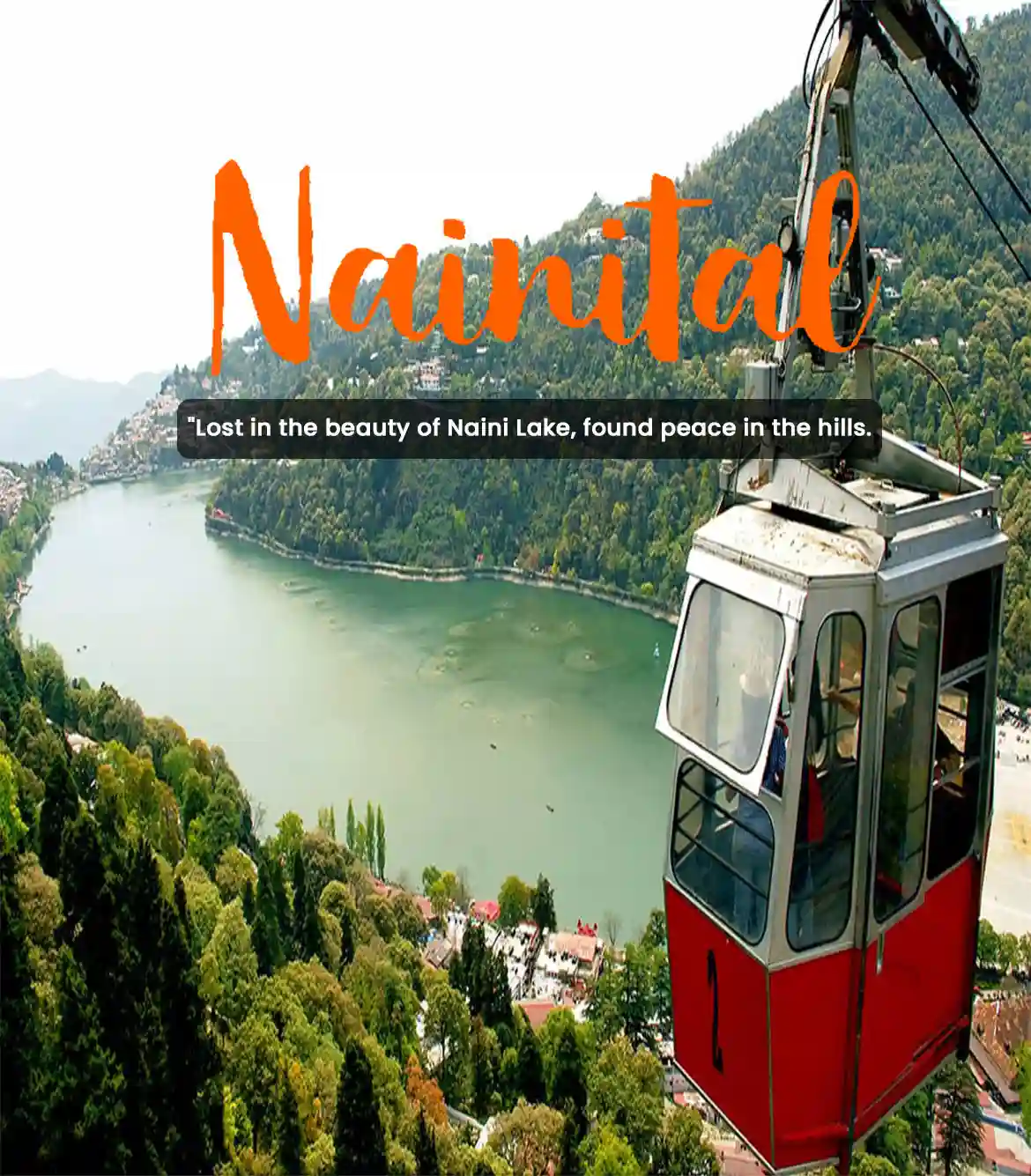 Nainital to Binsar One Day Tour Package