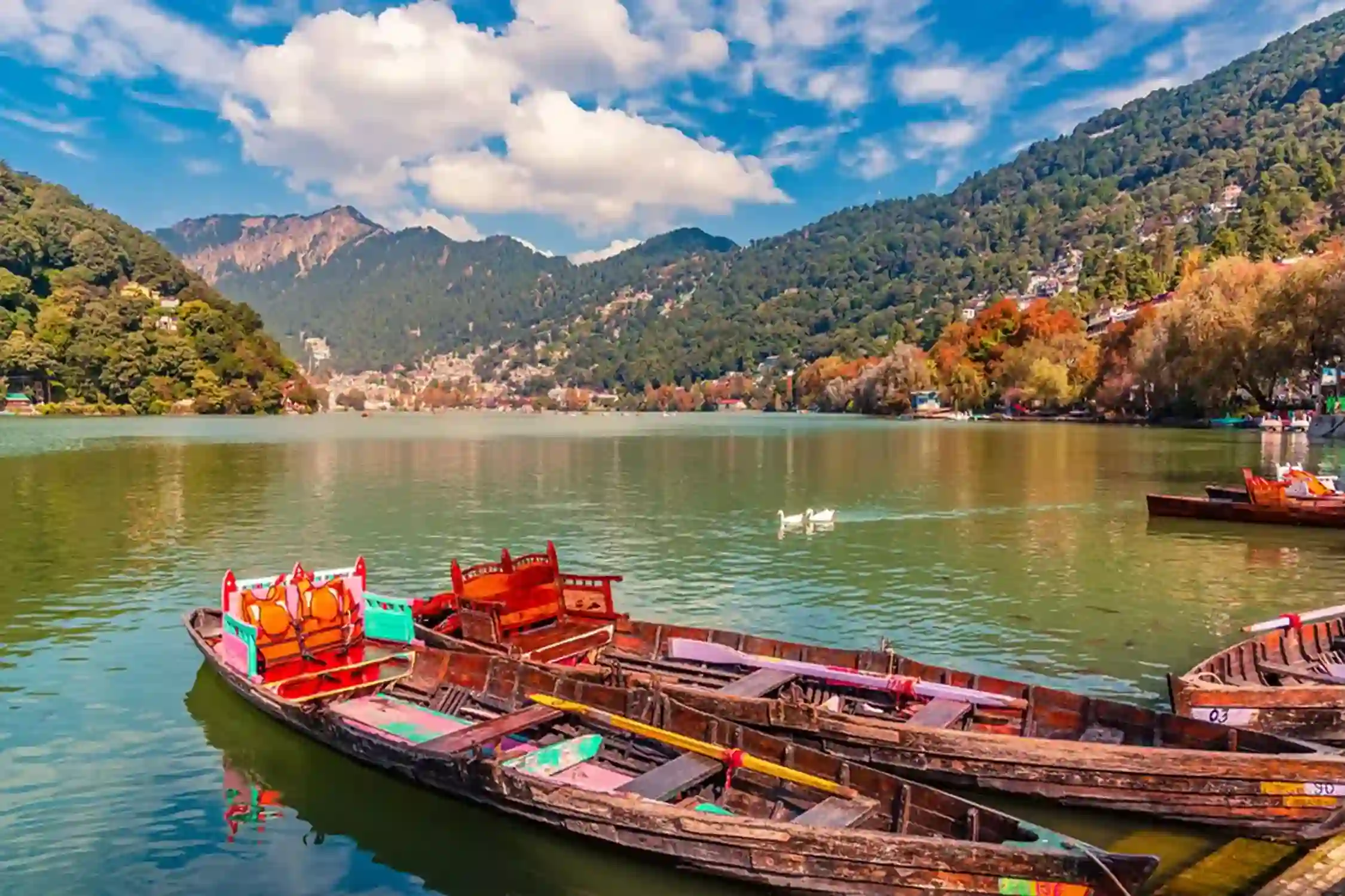 Nainital to Binsar One Day Tour Package