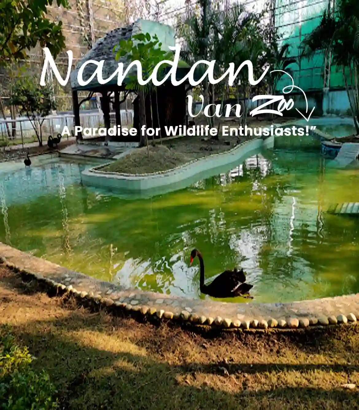 Bilaspur to Nandan Van Zoo One Day Trip