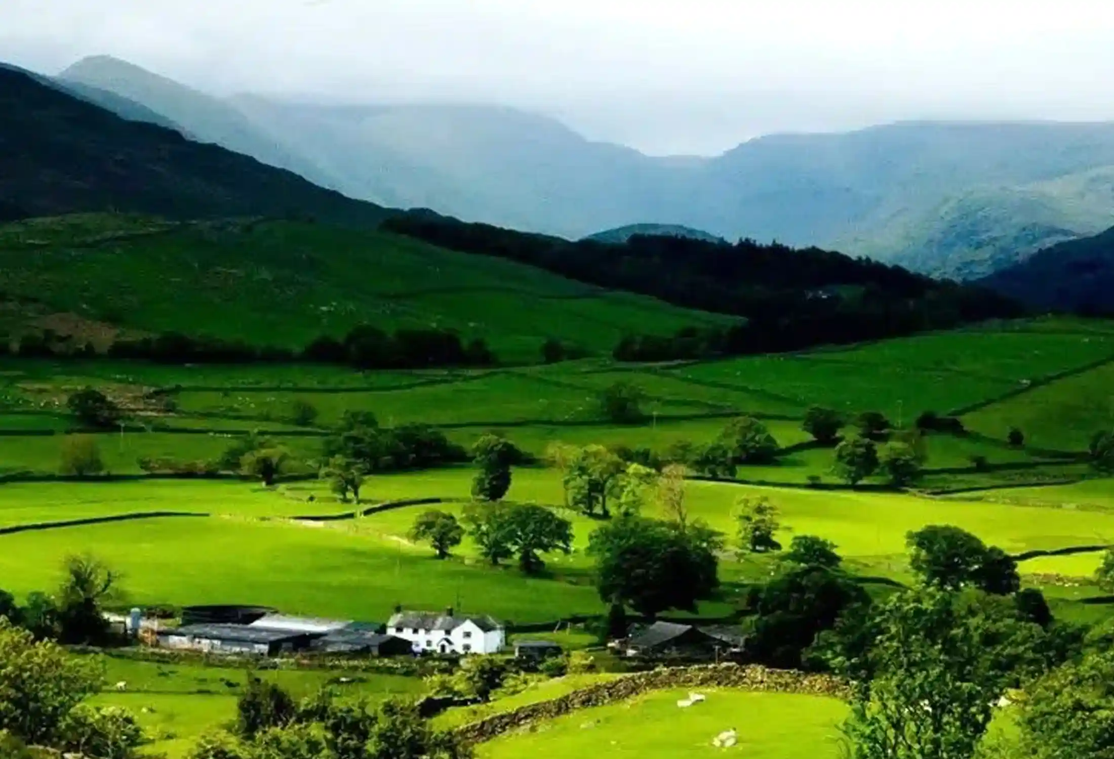North East Tour Packages from Guwahati