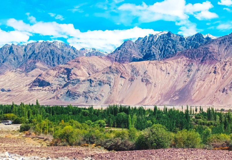 Leh Ladakh Group Tour Package with Camping