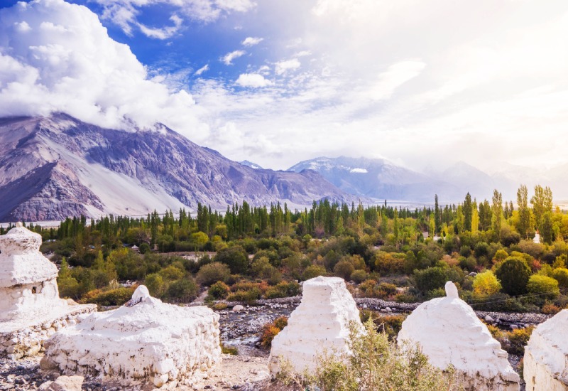 Leh Ladakh Tour Package from Ahmedabad