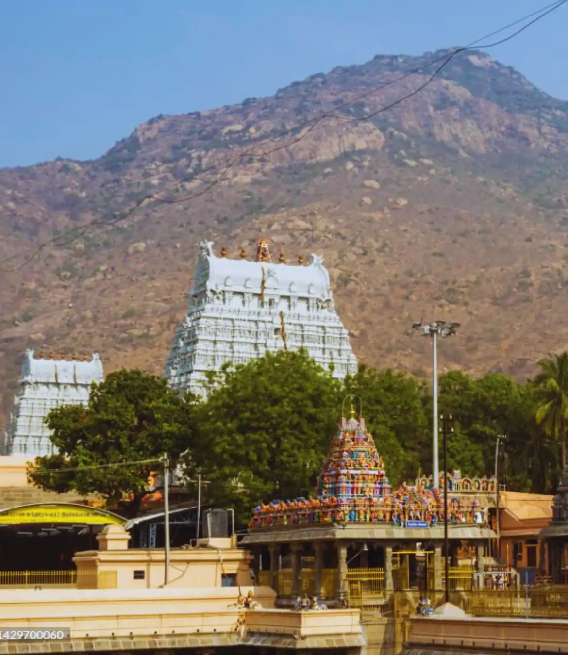 One Day Chennai to Tiruvannamalai Tour by Cab