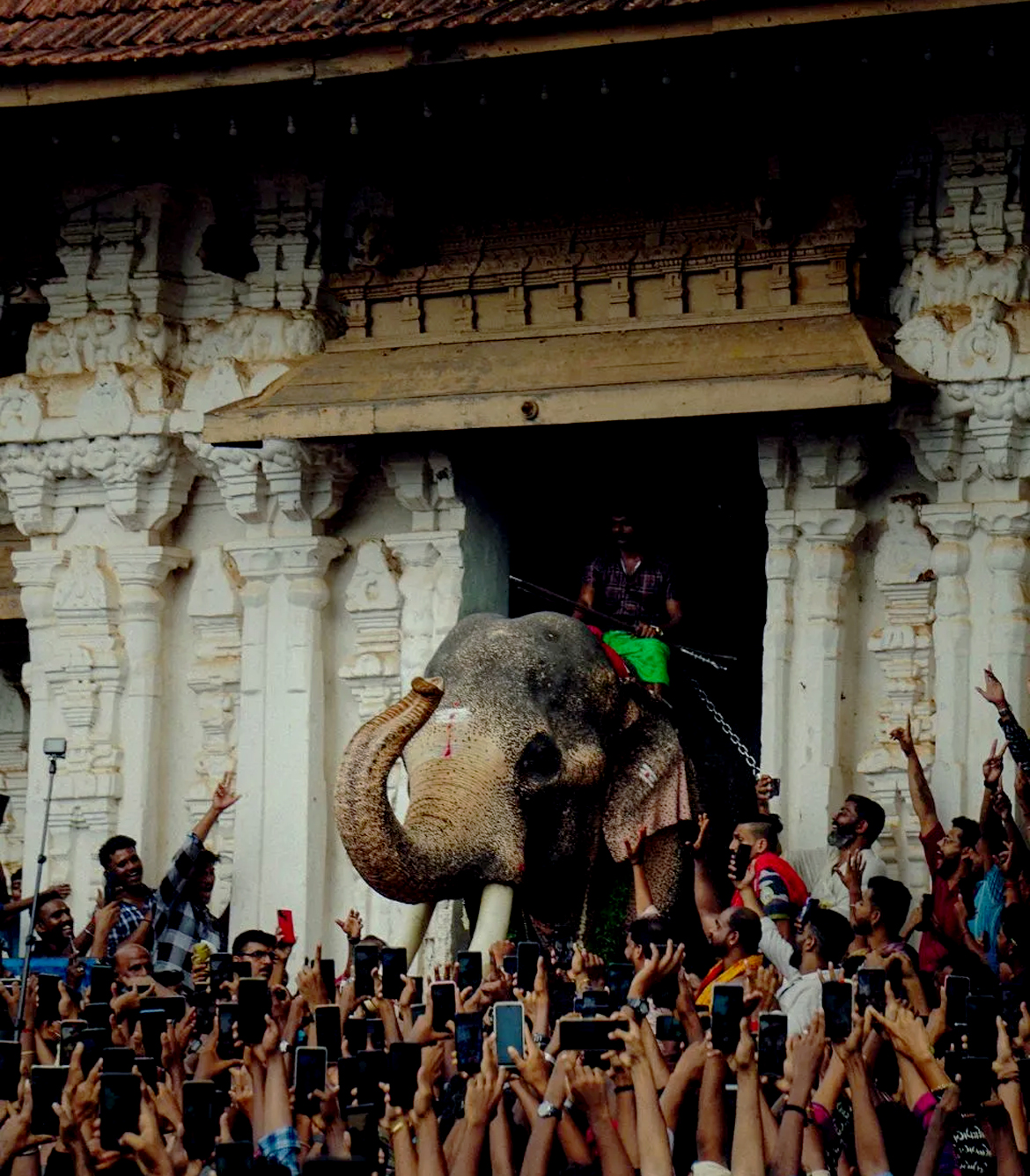 One Day Coimbatore to Thrissur and Guruvayur Trip
