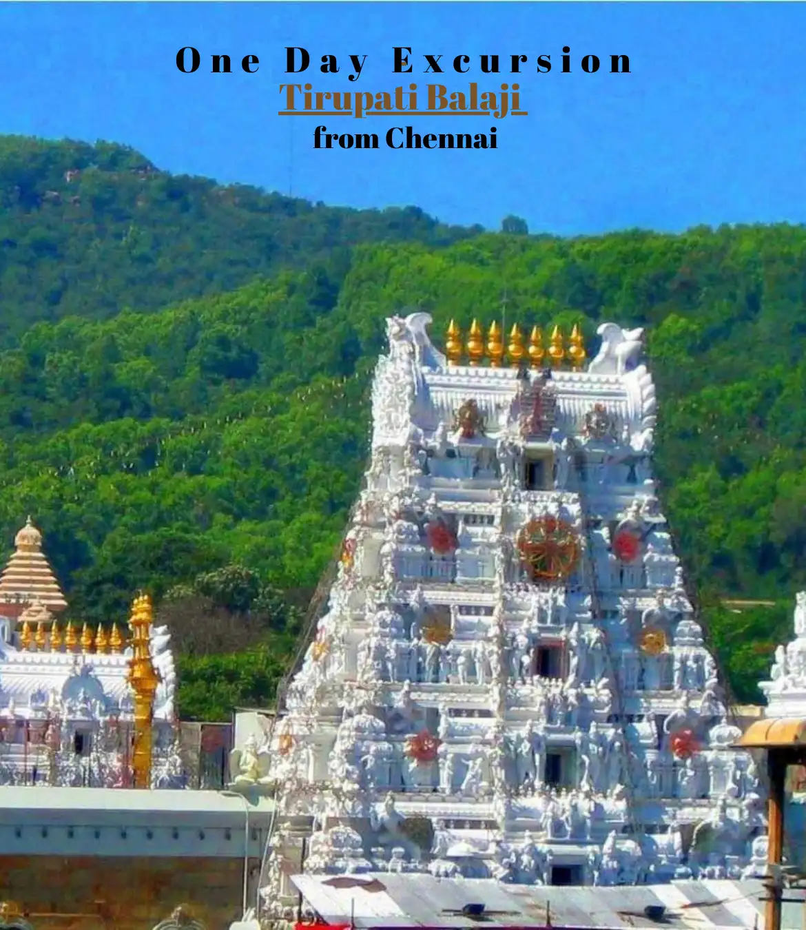 One Day Excursion of Tirupati Balaji from Chennai