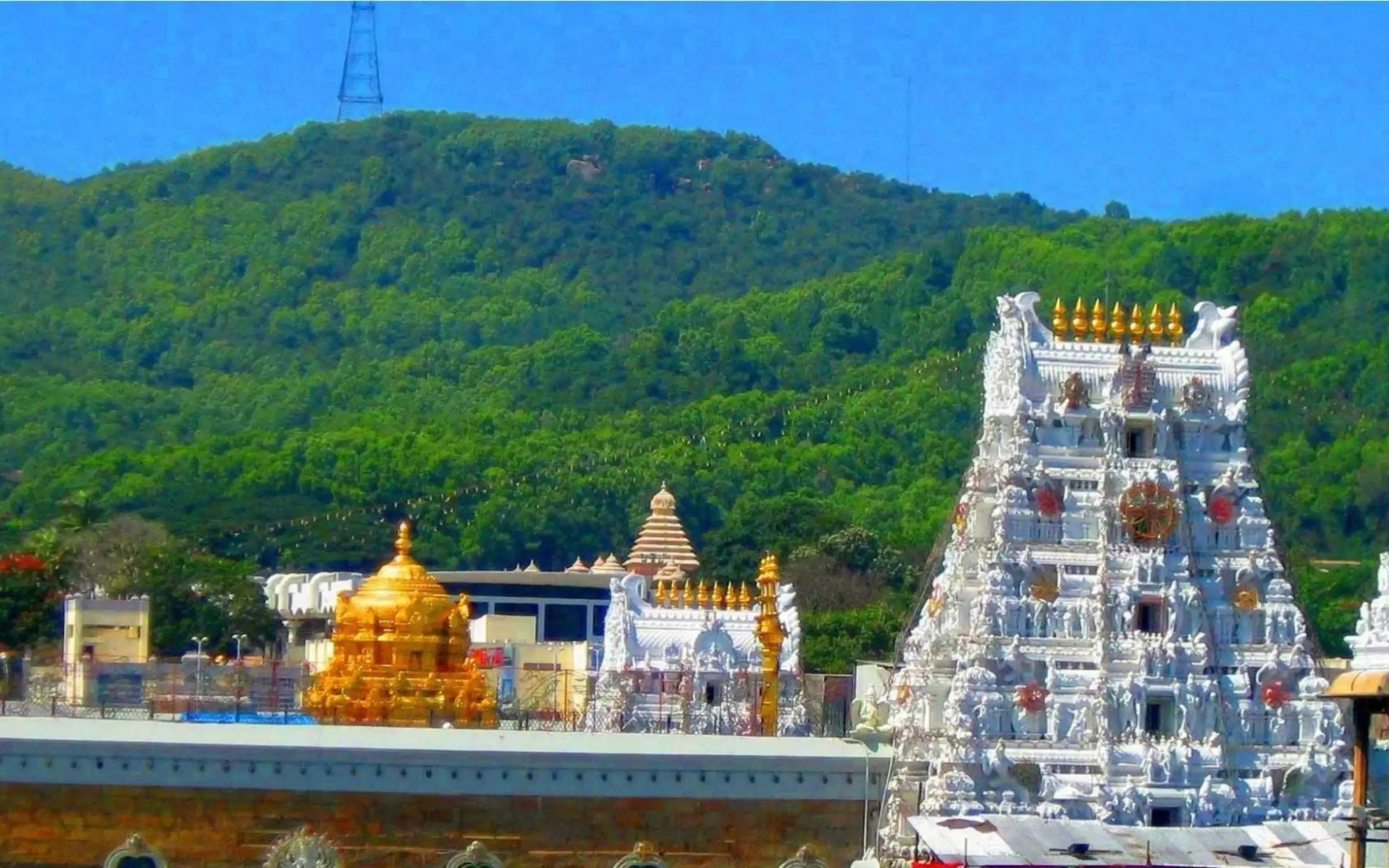 One Day Excursion of Tirupati Balaji from Chennai