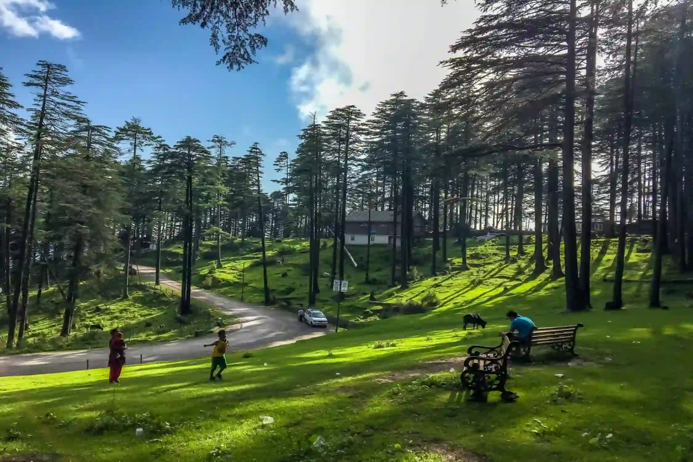 One Day Jammu to Patnitop Sightseeing Trip