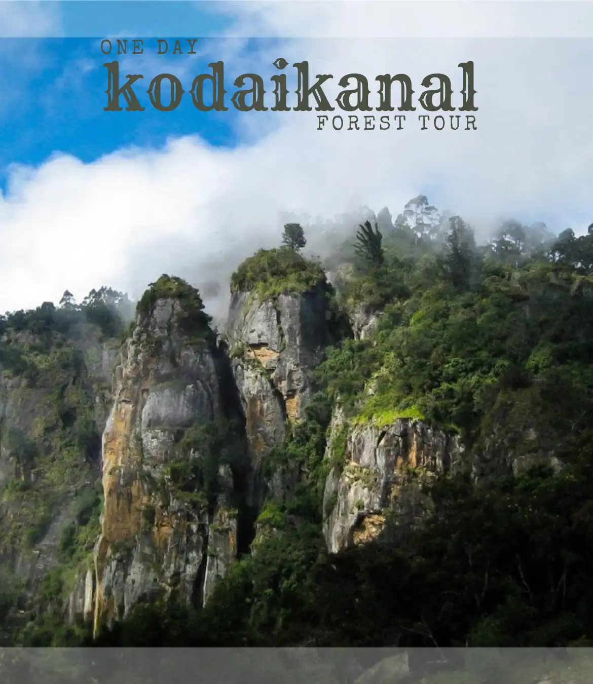 One Day Kodaikanal Forest Tour