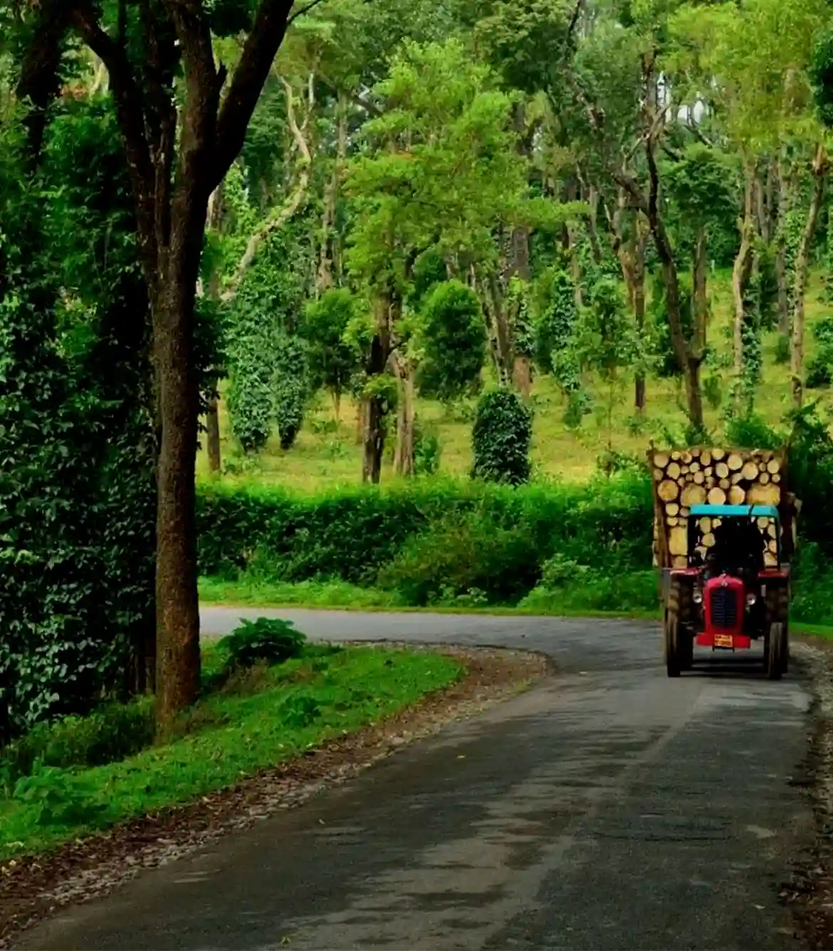 One Day Madikeri to Dharmasthala Sightseeing Trip