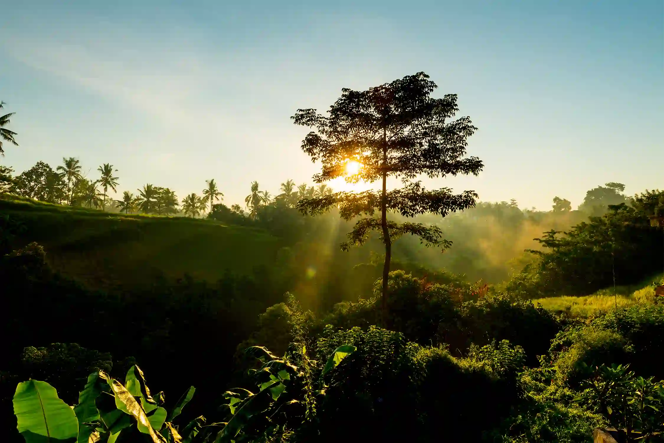One Day Madikeri to Hassan Sightseeing Trip