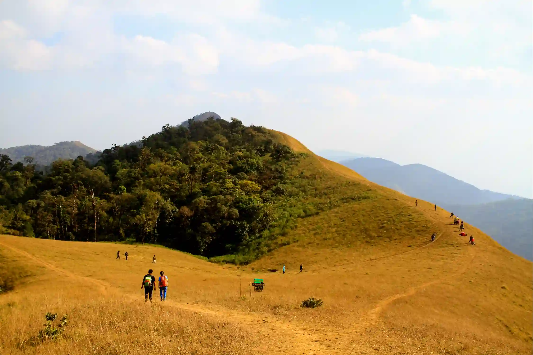 One Day Mangalore to Sakleshpur Trip