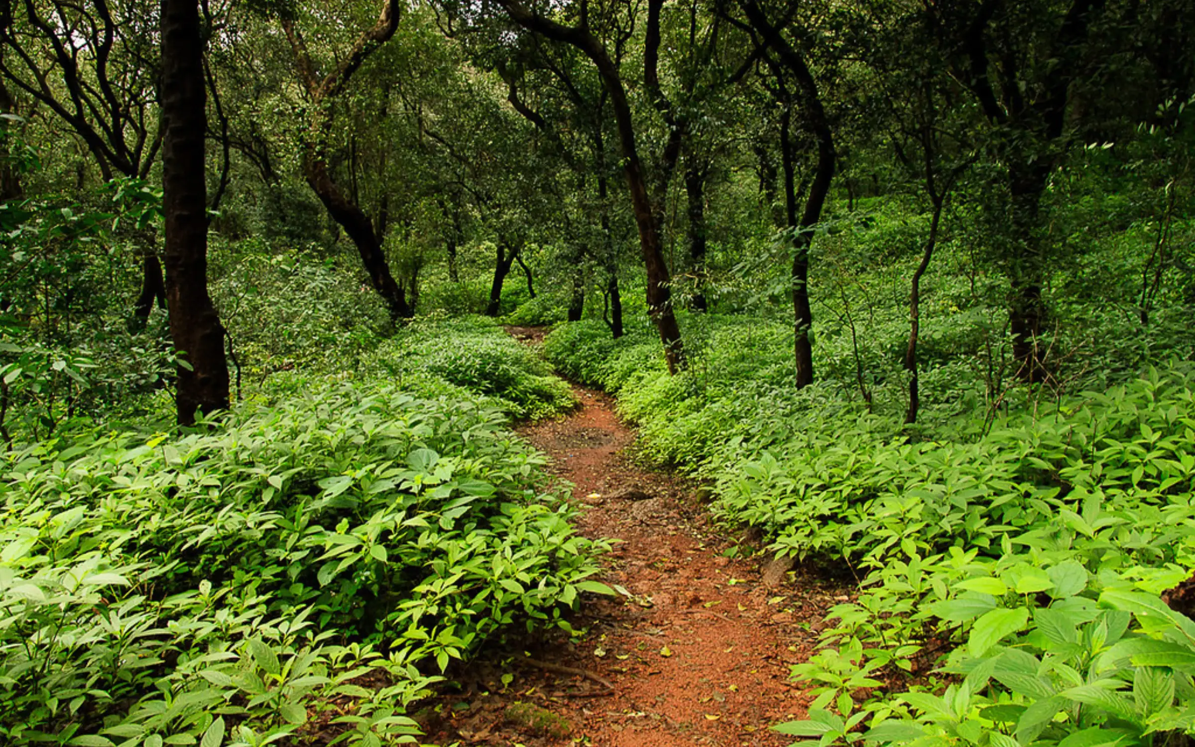 One Day Pune to Matheran Trip by Cab