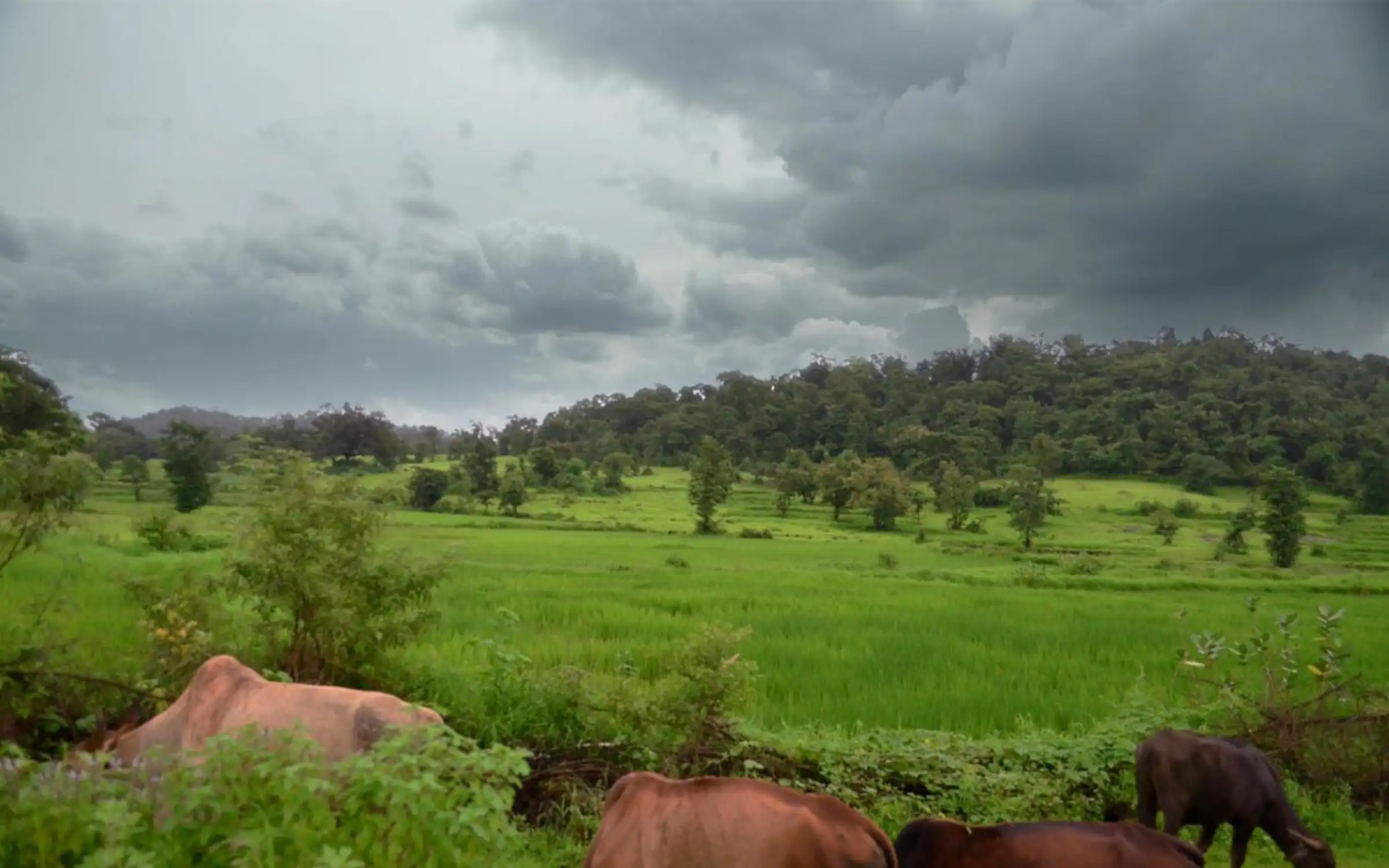 One Day Pune to Matheran Trip by Cab