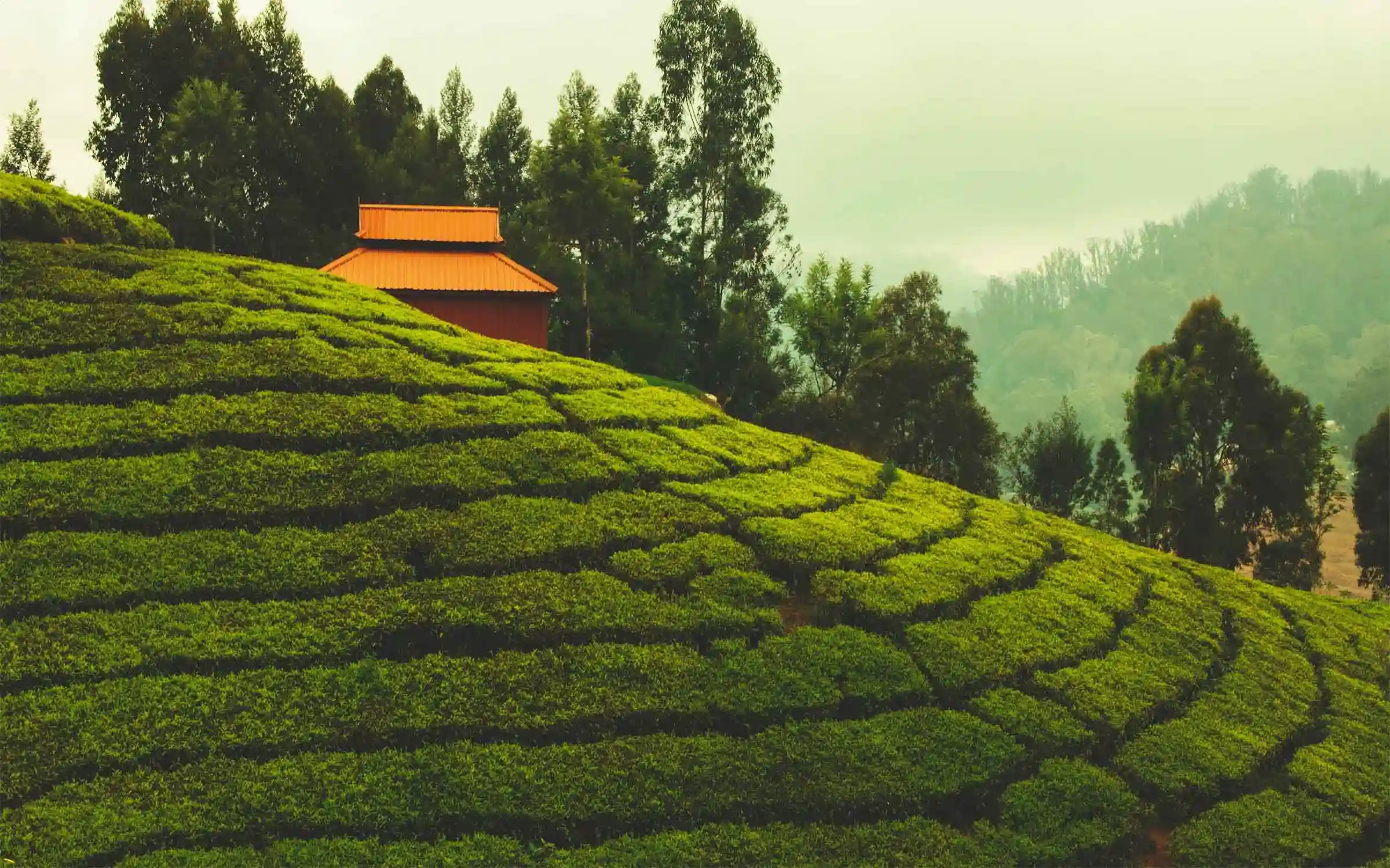 Ooty Tour Package from Bangalore