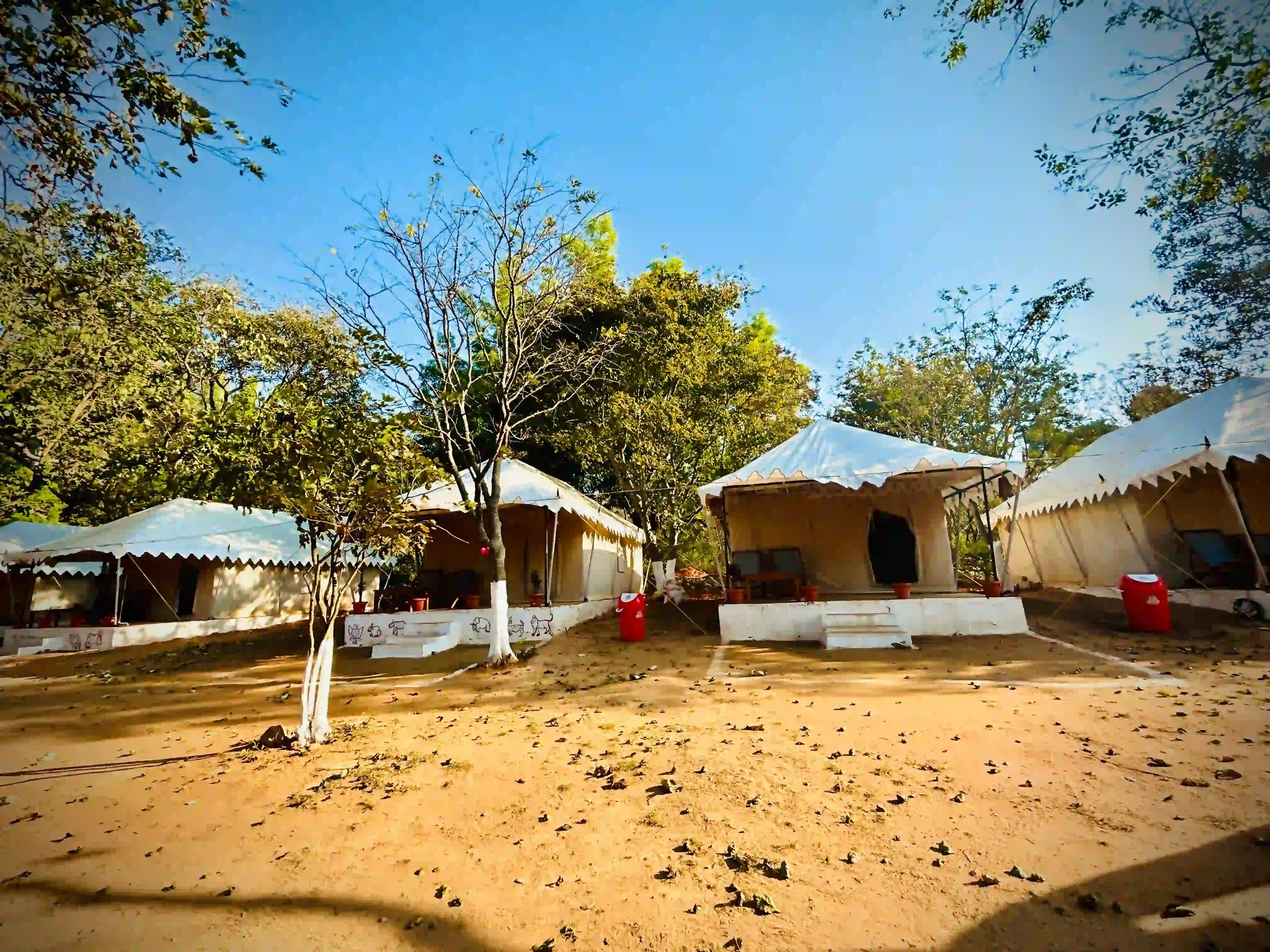 Camping in Pachmarhi