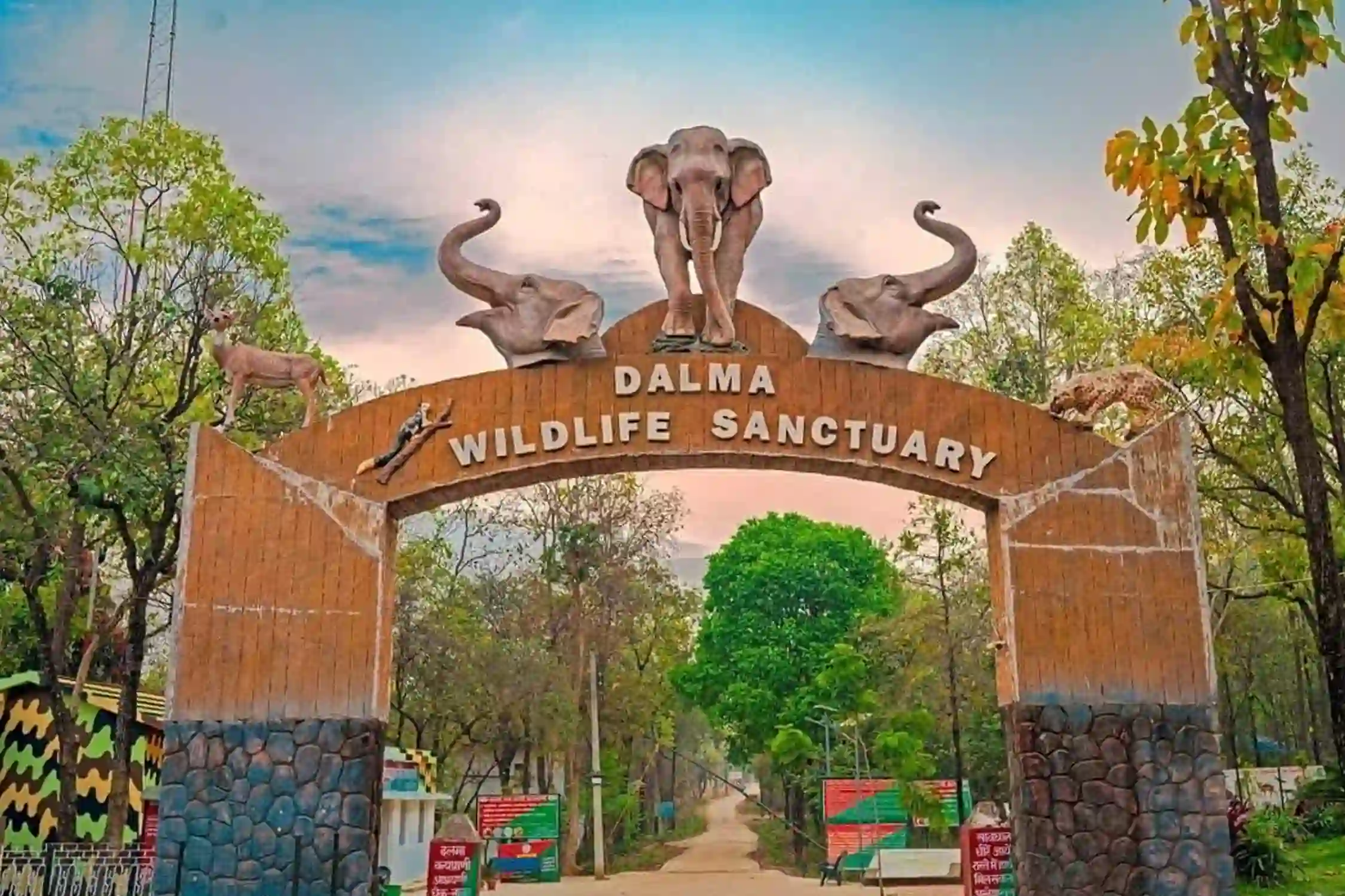 Pilgrimage Tour Odisha Packages