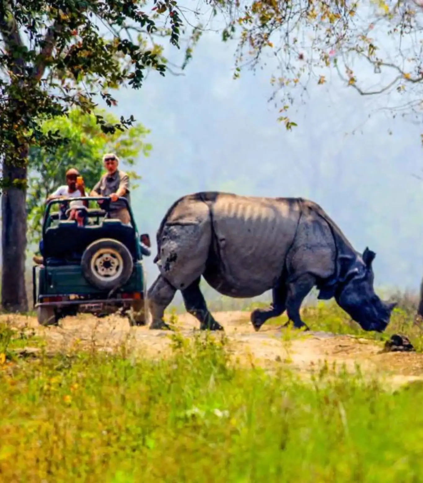 Jeep Safari In Pobitra Wildlife Sanctuary