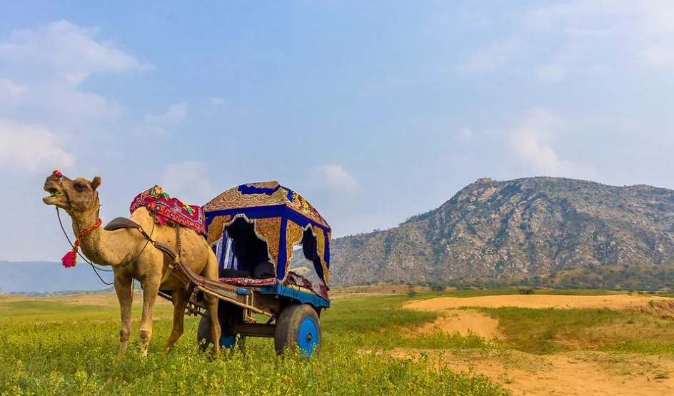 Pushkar Desert Safari