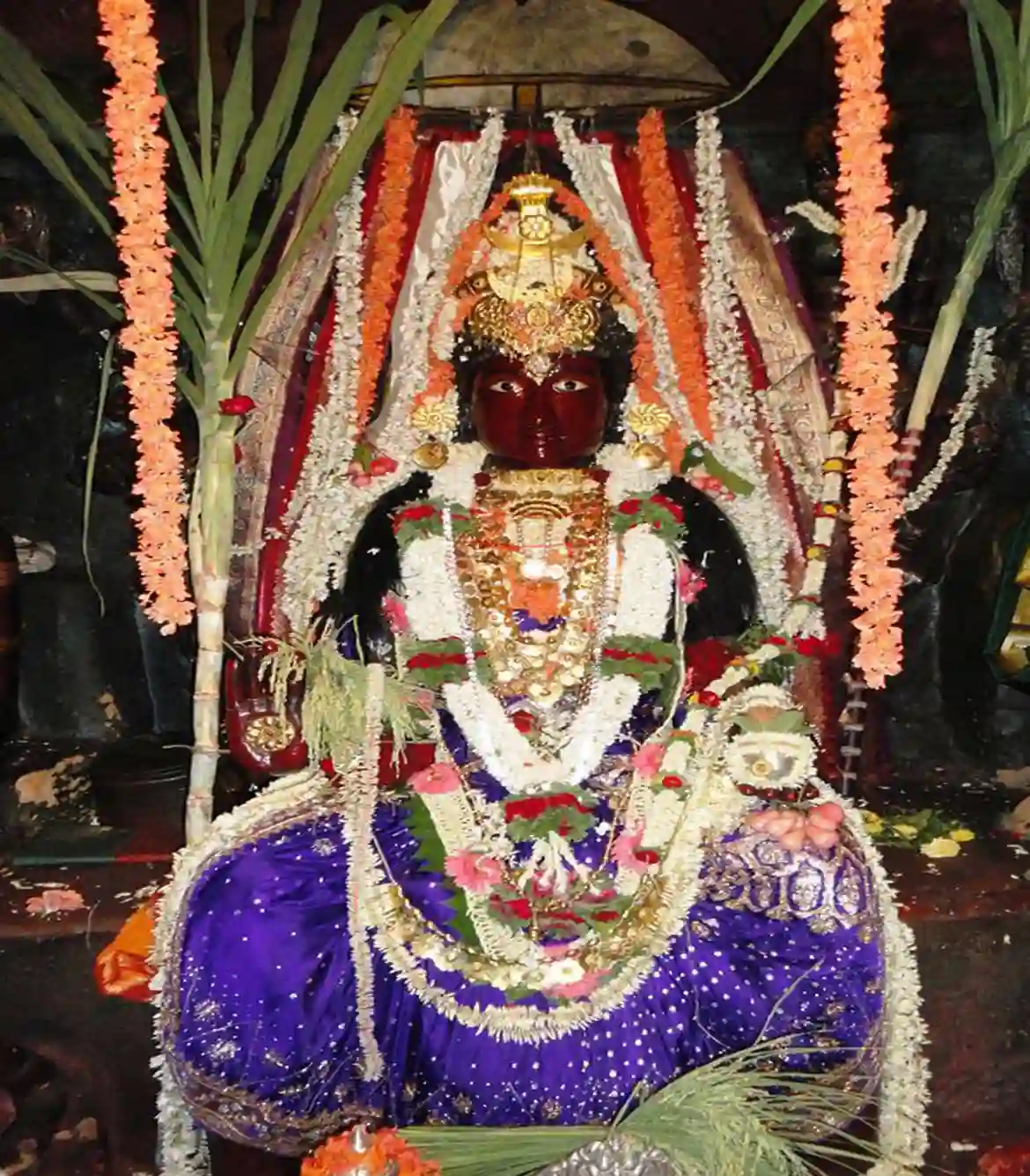 One Day Chikmagalur to Rajarajeshwara Temple Trip