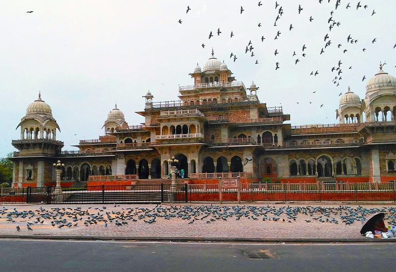Sightseeing in Jaipur and Ranthambore