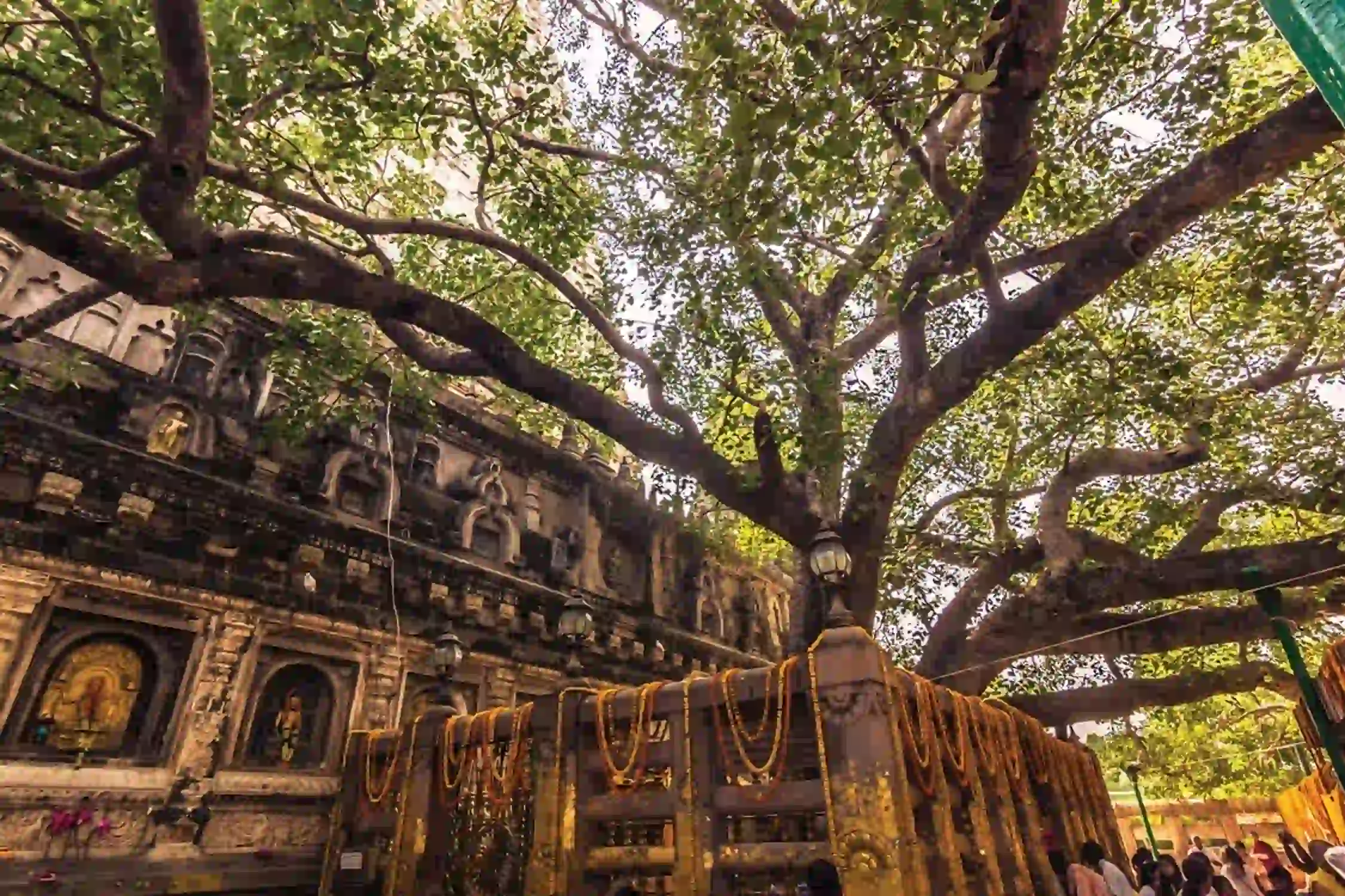 Rajgir Nalanda Pawapuri Bodhgaya Tour Package