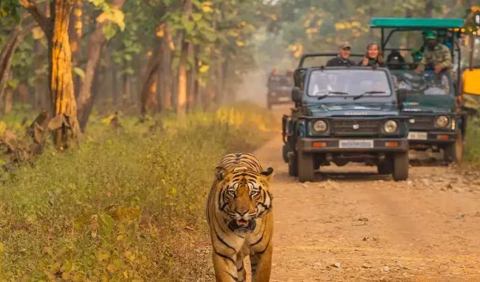 Jeep Safari At Ranakpur In Rajasthan