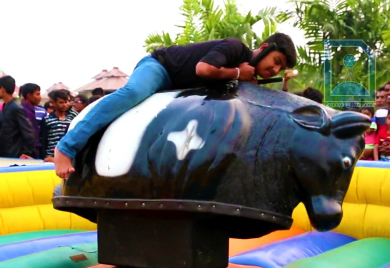 Bull Ride in Jim Corbett Park, Ramnagar