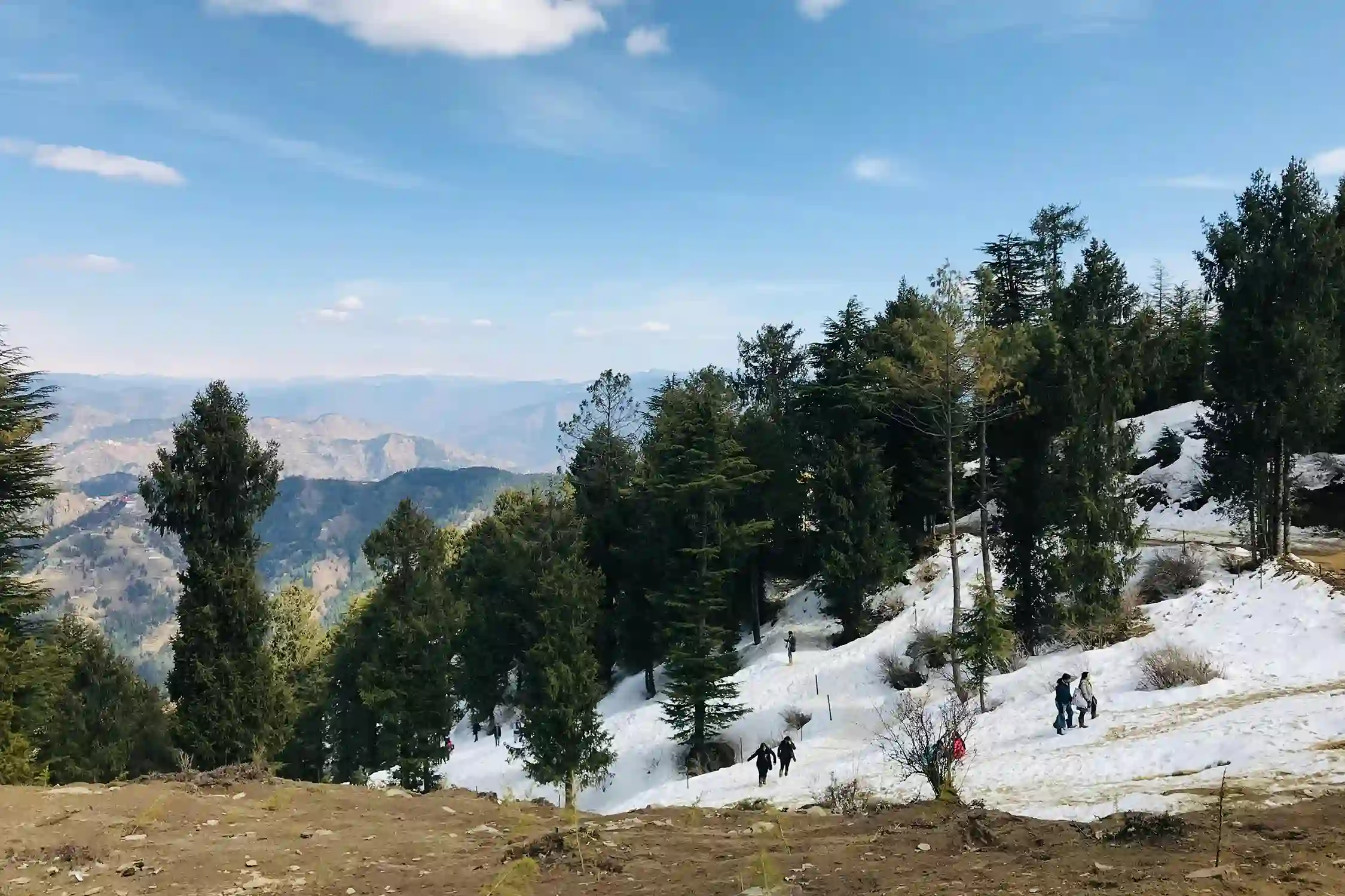 One Day Chandigarh to Shimla and Kufri Trip