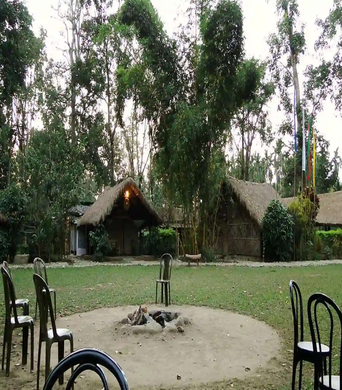 Sadiya Eco Camp Assam