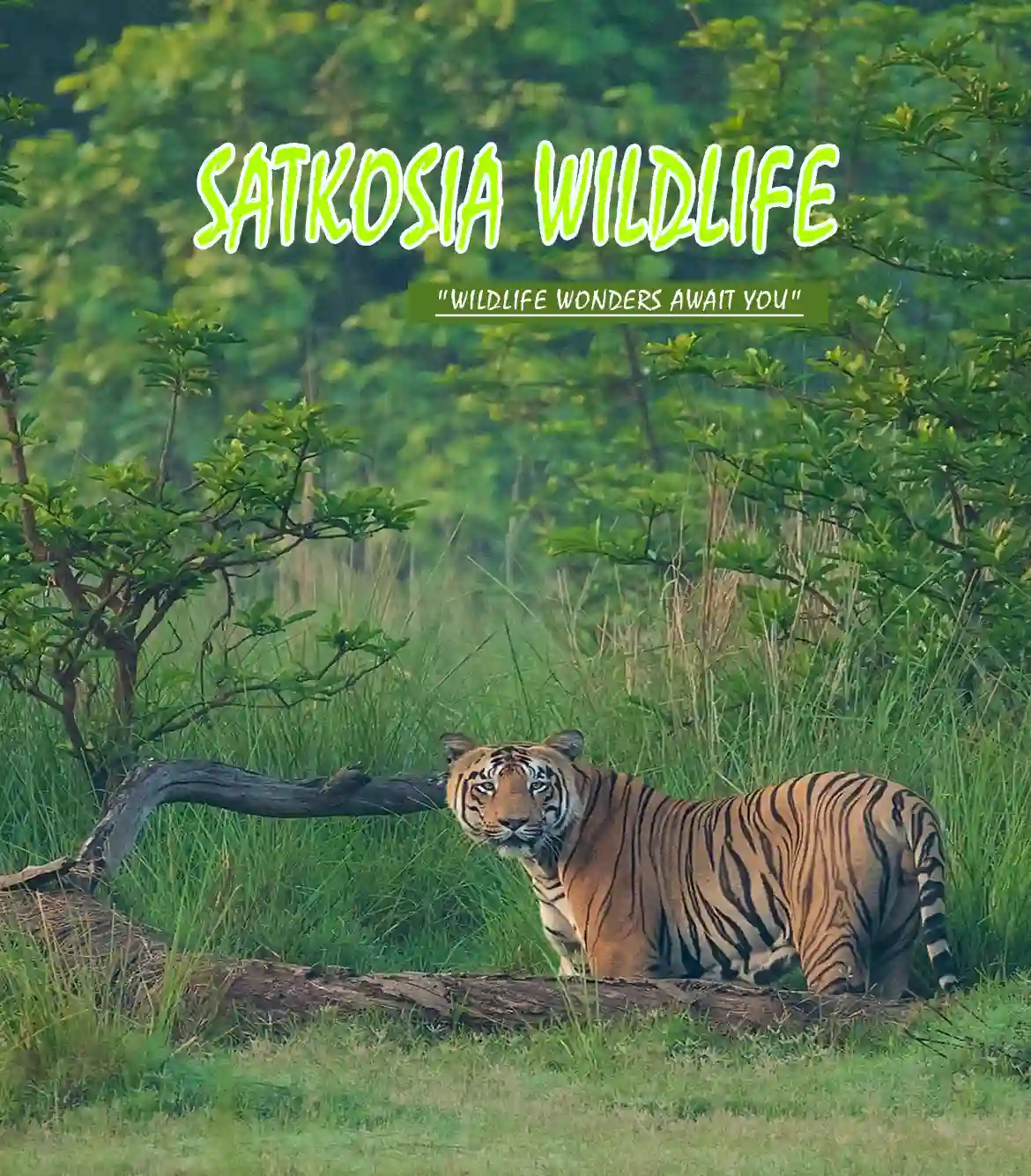 Satkosia Wildlife Tour Packages