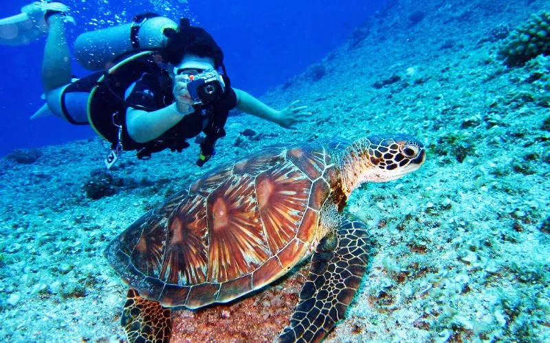 Scuba Diving in Antalya