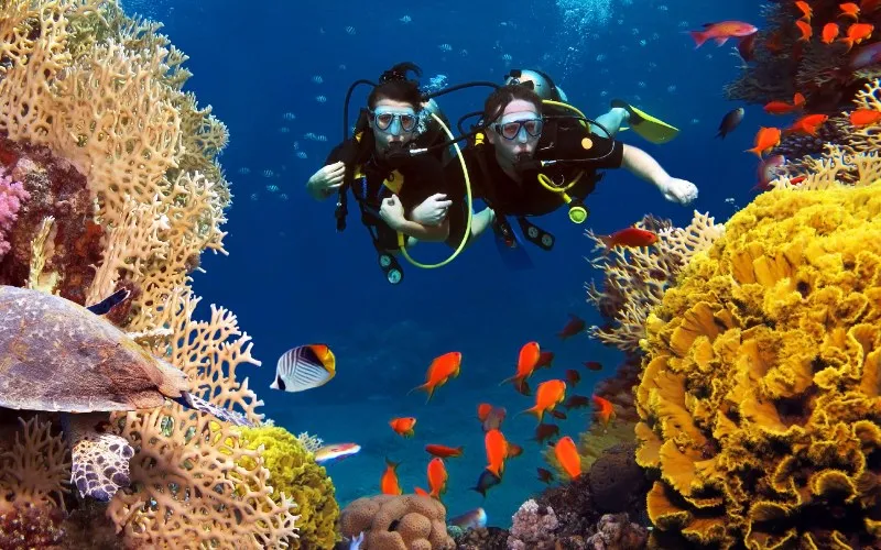 Scuba Diving in Antalya