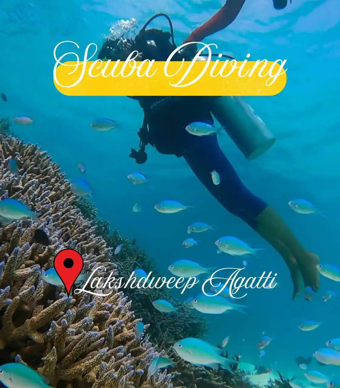 Scuba Diving in Lakshadweep Agatti