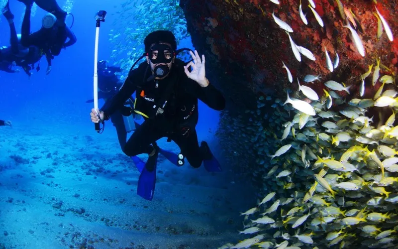 Scuba Diving in Mangalore