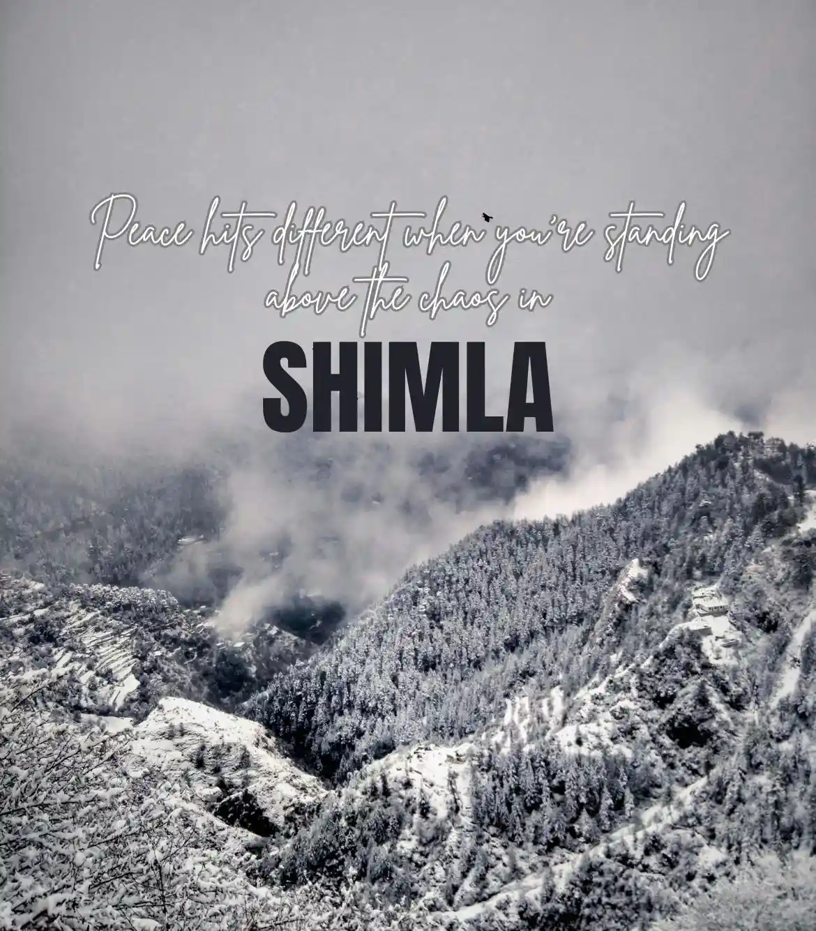 Shimla Tour Package from Patna