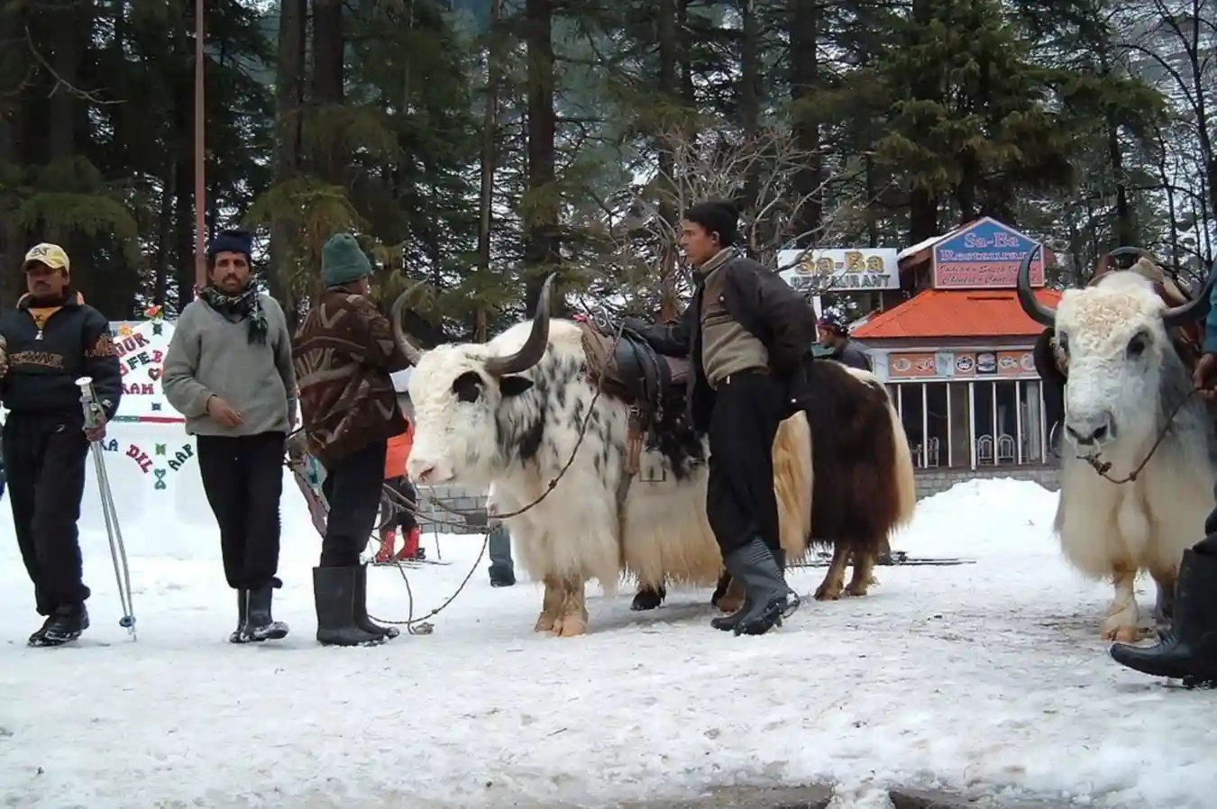 Shimla Manali Tour Package from Chennai