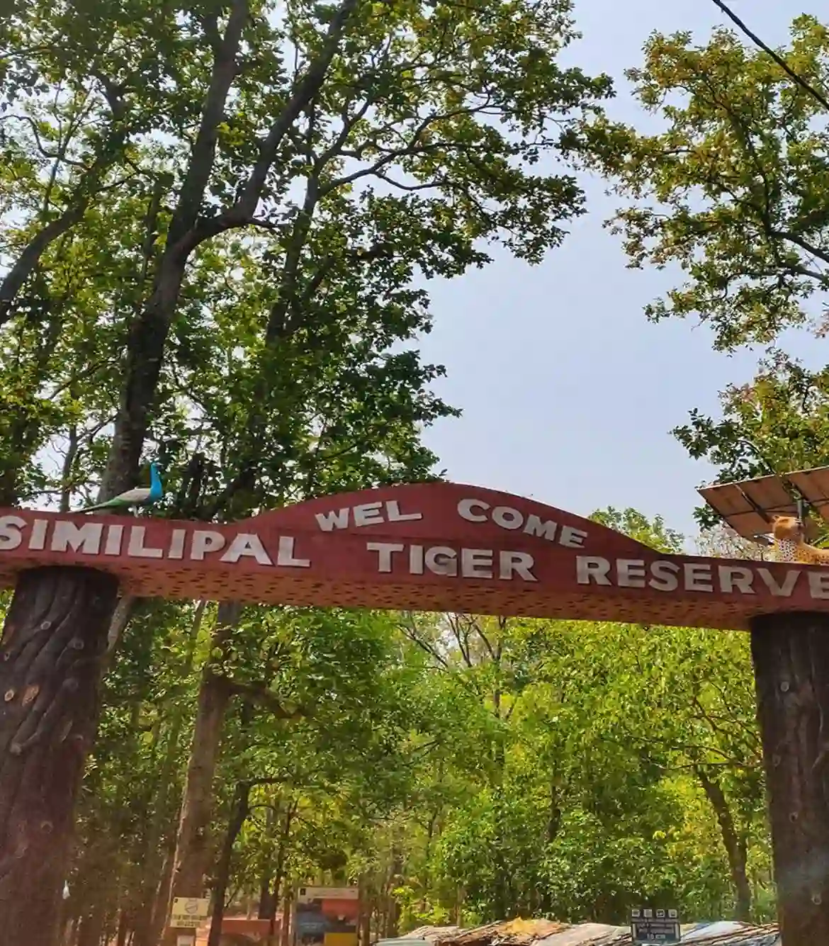 Simlipal National Park Tour Packages
