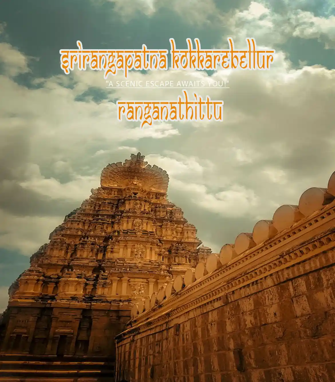 Srirangapatna Kokkarebellur Ranganathittu Day Trip from Bangalore