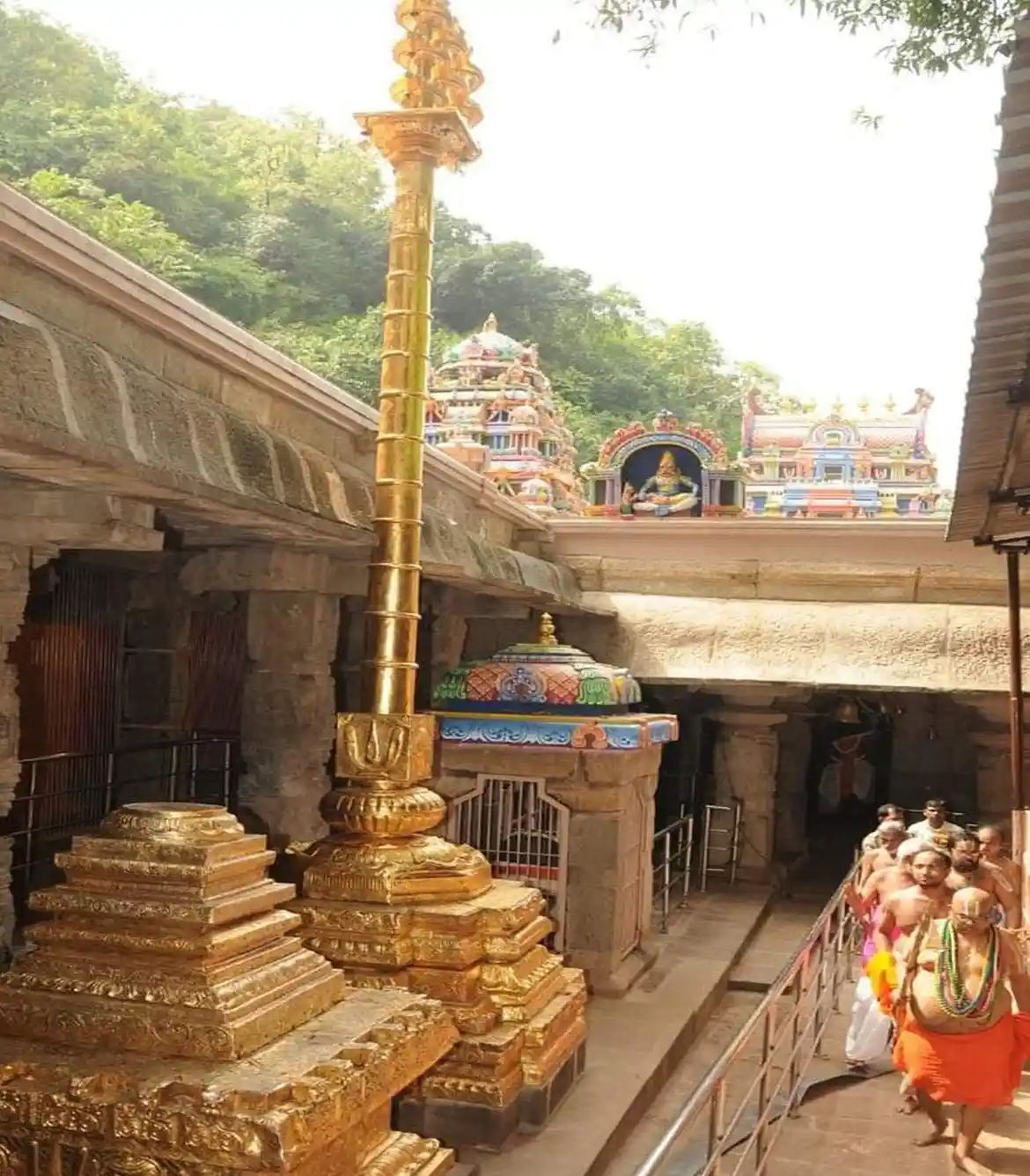 Srirangapatna Kokkarebellur Ranganathittu Day Trip from Bangalore